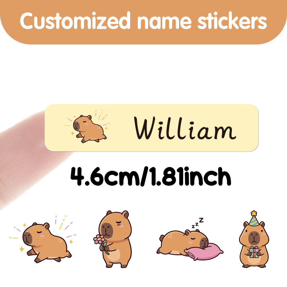 Customizable Capybara Stickers - Blister Plaster Sport recension och pris